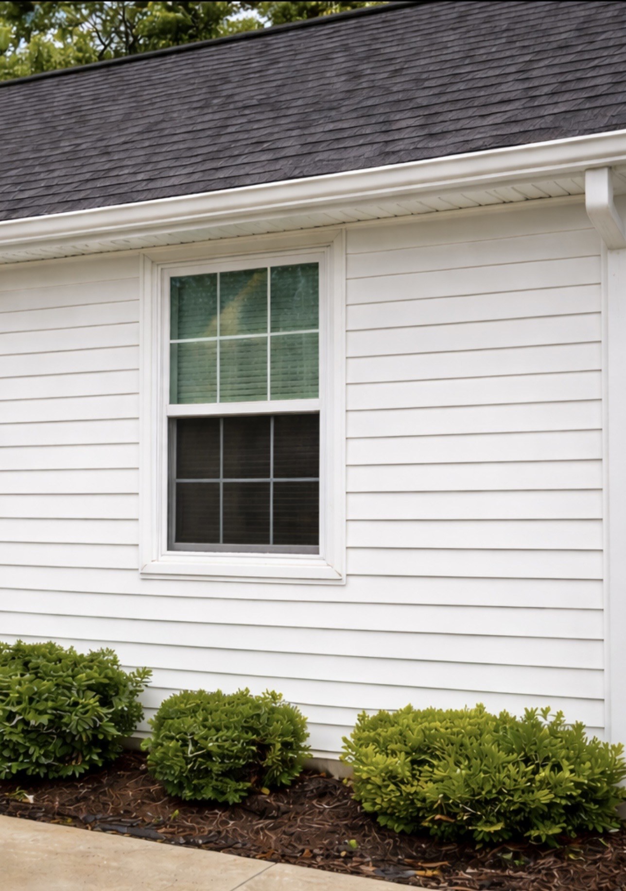 House before cleaning