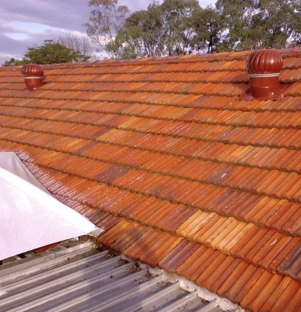 Roof before treatment